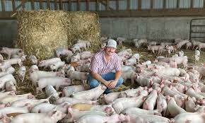 Fifth-Generation Farmer Revives a Family Tradition